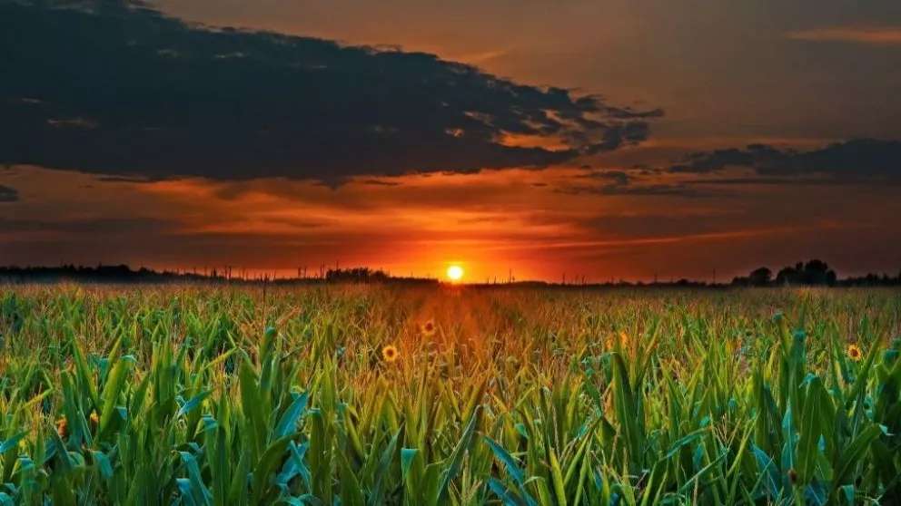 ماشین کشاورز پیرهادی